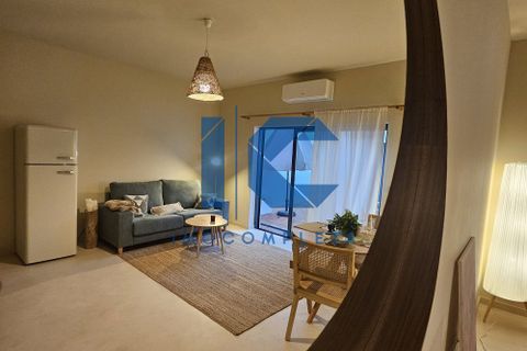 Erhvervsejendom i Agueda, Aveiro, Agueda - € 490.000 | Ref: 20241100401 . - foto 4