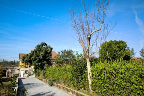 Landejendom i Mangualde, Viseu, Mangualde - € 390.000 | Ref: 389240192 - foto 3
