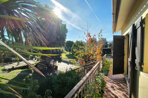 Landejendom i Mangualde, Viseu, Mangualde - € 390.000 | Ref: 389240192 - foto 4