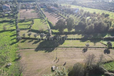 Landejendom i Mangualde, Viseu, Mangualde - € 390.000 | Ref: 389240192 - foto 7