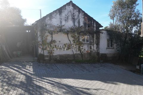 Landejendom i Mangualde, Viseu, Mangualde - € 390.000 | Ref: 389240192 - foto 8