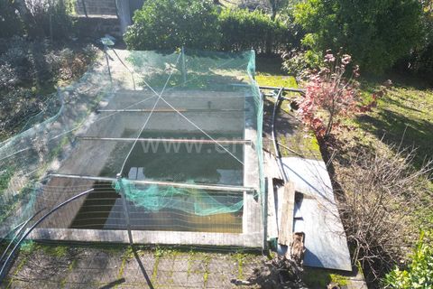 Landejendom i Mangualde, Viseu, Mangualde - € 390.000 | Ref: 389240192 - foto 9