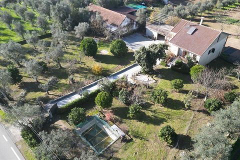Landejendom i Mangualde, Viseu, Mangualde - € 390.000 | Ref: 389240192 - foto 11