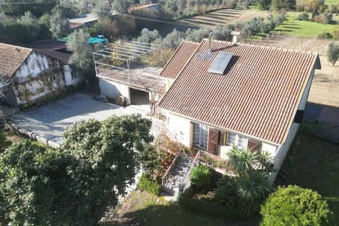 Landejendom i Mangualde, Viseu, Mangualde - € 390.000 | Ref: 389240192 - foto 12