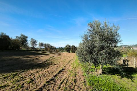 Landejendom i Mangualde, Viseu, Mangualde - € 390.000 | Ref: 389240192 - foto 23