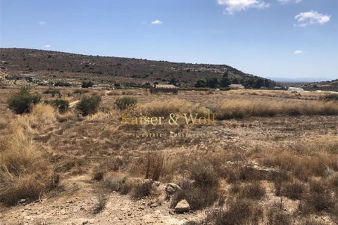 Terra a Saladas, Alicante, Saladas - € 201.500 | Ref: Sp0019 - foto 3