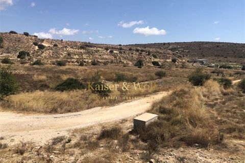 Terra a Saladas, Alicante, Saladas - € 201.500 | Ref: Sp0019 - foto 4