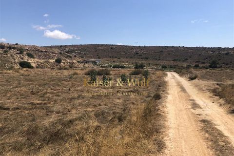 Terra a Saladas, Alicante, Saladas - € 201.500 | Ref: Sp0019 - foto 5