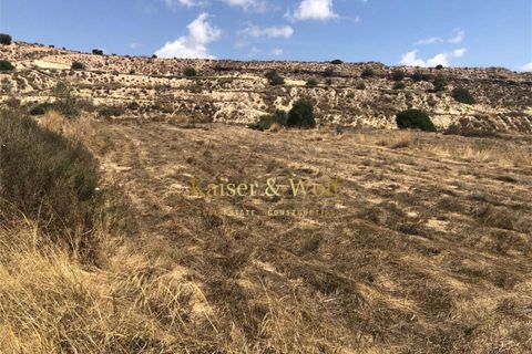 Terra a Saladas, Alicante, Saladas - € 201.500 | Ref: Sp0019 - foto 6