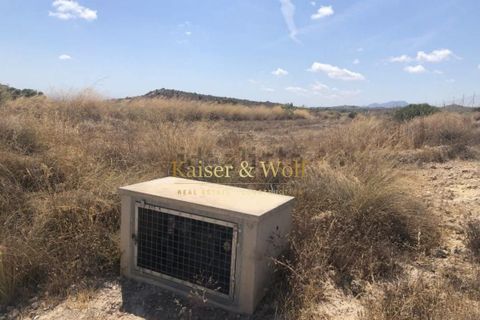 Terra a Saladas, Alicante, Saladas - € 201.500 | Ref: Sp0019 - foto 10