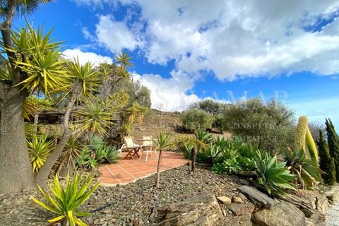 Villa a Sayalonga, Malaga, Sayalonga - € 1.200.000 | Ref: VH2401 - foto 31