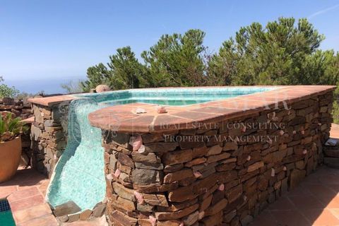 Villa a Sayalonga, Malaga, Sayalonga - € 1.200.000 | Ref: VH2401 - foto 36