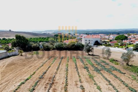 Terra a Gaeiras, Leiria, Gaeiras - € 140.000 | Ref: TER_557_TC - foto 2