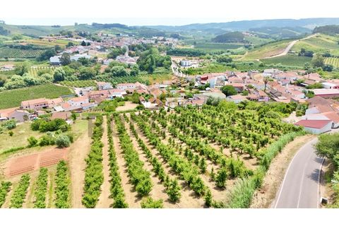 Helårsgrund i A dos Francos, Leiria, A dos Francos - € 125.000 | Ref: TER_438_RC - foto 5