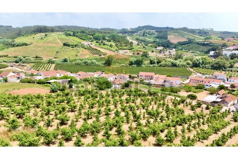 Helårsgrund i A dos Francos, Leiria, A dos Francos - € 125.000 | Ref: TER_438_RC - foto 6