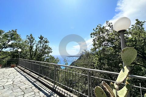 Villa i Menton, Alpes-Maritimes, Menton - € 752.000 | Ref: A05904 - foto 2