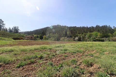Farm hus i Arganil, Coimbra, Arganil - € 160.000 | Ref: 120612091-162 - foto 3