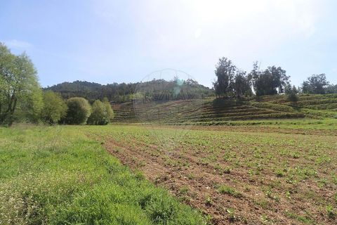 Farm hus i Arganil, Coimbra, Arganil - € 160.000 | Ref: 120612091-162 - foto 6