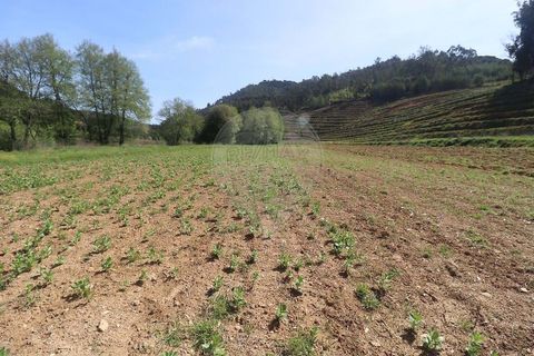 Farm hus i Arganil, Coimbra, Arganil - € 160.000 | Ref: 120612091-162 - foto 7