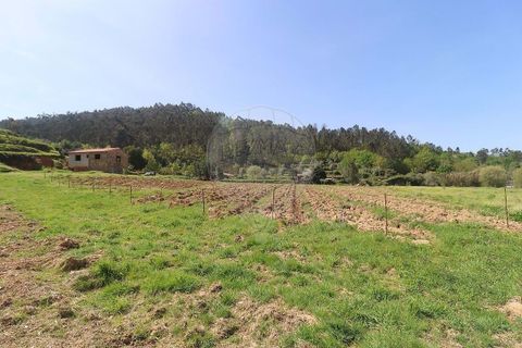 Farm hus i Arganil, Coimbra, Arganil - € 160.000 | Ref: 120612091-162 - foto 8