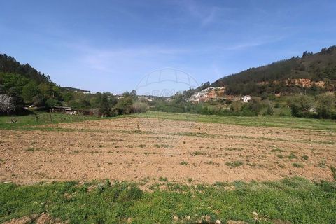 Farm hus i Arganil, Coimbra, Arganil - € 160.000 | Ref: 120612091-162 - foto 13