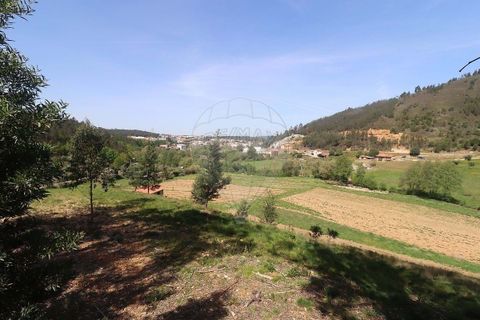 Farm hus i Arganil, Coimbra, Arganil - € 160.000 | Ref: 120612091-162 - foto 14