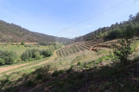 Farm hus i Arganil, Coimbra, Arganil - € 160.000 | Ref: 120612091-162 - foto 15
