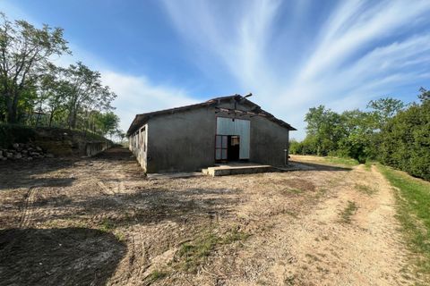 Terra a Alonte, Vicenza, Alonte - € 90.000 | Ref: 1114 - foto 8