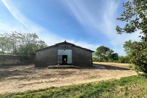 Terra a Alonte, Vicenza, Alonte - € 90.000 | Ref: 1114 - foto 9
