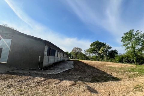 Terra a Alonte, Vicenza, Alonte - € 90.000 | Ref: 1114 - foto 10