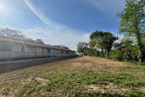 Terra a Alonte, Vicenza, Alonte - € 90.000 | Ref: 1114 - foto 11