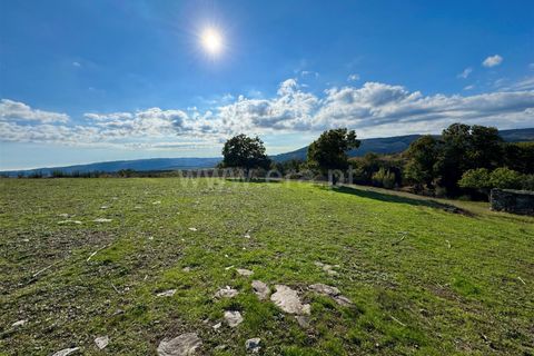 Erhvervsejendom i Guarda, Guarda, Guarda - € 38.000 | Ref: 046240293 - foto 5