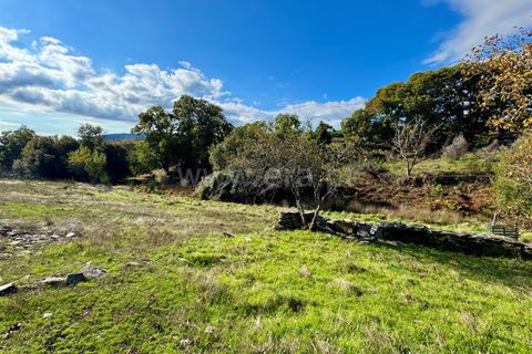 Erhvervsejendom i Guarda, Guarda, Guarda - € 38.000 | Ref: 046240293 - foto 7