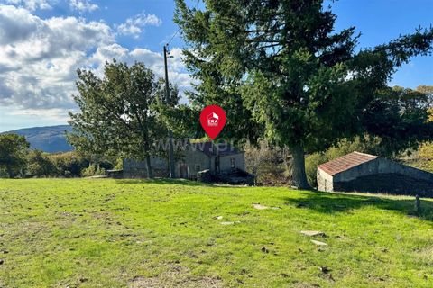 Erhvervsejendom i Guarda, Guarda, Guarda - € 38.000 | Ref: 046240293 - foto 10