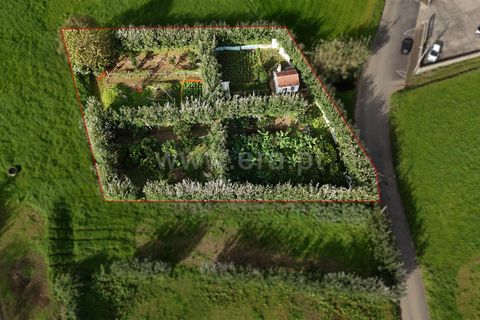 Helårsgrund i Horta, Faial, Horta - € 56.000 | Ref: 374240347 - foto 2