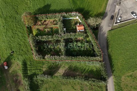 Helårsgrund i Horta, Faial, Horta - € 56.000 | Ref: 374240347 - foto 7
