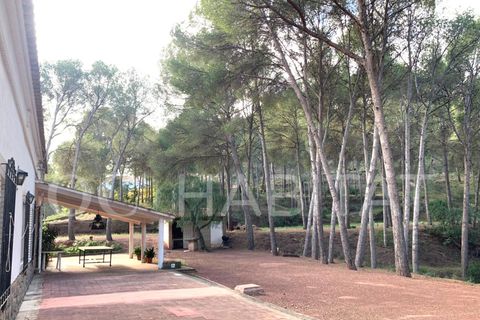 Villa a Naquera, Valencia, Naquera - € 900.000 | Ref: EB140/6904 - foto 22