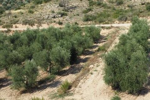 Landejendom i Flix, Tarragona, Flix - € 162.000 | Ref: 934 Flijosa - foto 39