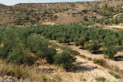 Landejendom i Flix, Tarragona, Flix - € 162.000 | Ref: 934 Flijosa - foto 37