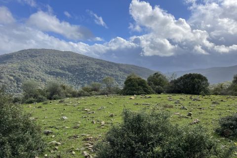 Helårsgrund i Colmenar, Malaga, Colmenar - € 1.500.000 | Ref: es5553319 - foto 3