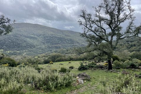 Helårsgrund i Colmenar, Malaga, Colmenar - € 1.500.000 | Ref: es5553319 - foto 5
