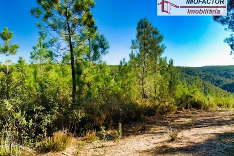 Helårsgrund i Castelo Branco, Castelo Branco, Castelo Branco - € 26.000 | Ref: 21-11849 - foto 6