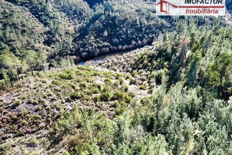 Helårsgrund i Castelo Branco, Castelo Branco, Castelo Branco - € 26.000 | Ref: 21-11849 - foto 11