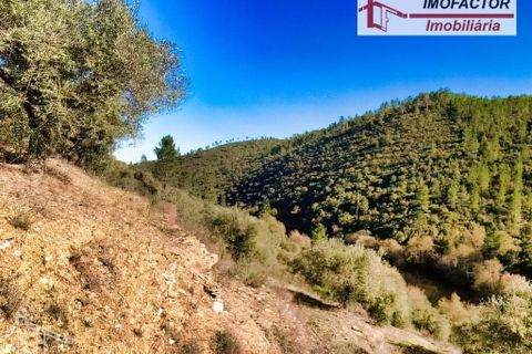 Helårsgrund i Castelo Branco, Castelo Branco, Castelo Branco - € 26.000 | Ref: 21-11849 - foto 12