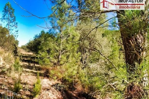 Helårsgrund i Castelo Branco, Castelo Branco, Castelo Branco - € 26.000 | Ref: 21-11849 - foto 13