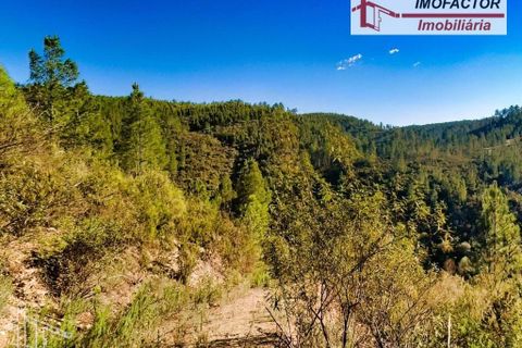 Helårsgrund i Castelo Branco, Castelo Branco, Castelo Branco - € 26.000 | Ref: 21-11849 - foto 14