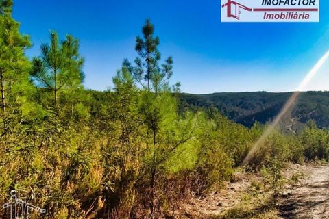 Helårsgrund i Castelo Branco, Castelo Branco, Castelo Branco - € 26.000 | Ref: 21-11849 - foto 15
