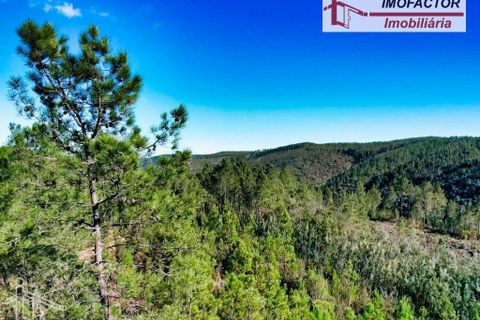Helårsgrund i Castelo Branco, Castelo Branco, Castelo Branco - € 26.000 | Ref: 21-11849 - foto 16