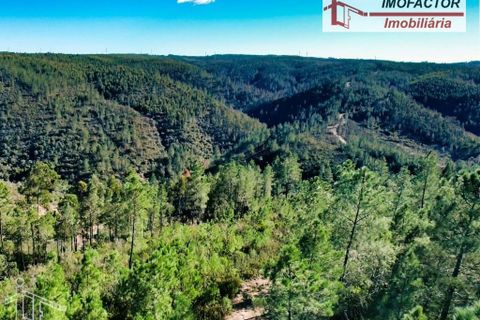 Helårsgrund i Castelo Branco, Castelo Branco, Castelo Branco - € 26.000 | Ref: 21-11849 - foto 17