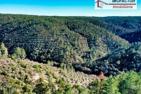 Helårsgrund i Castelo Branco, Castelo Branco, Castelo Branco - € 26.000 | Ref: 21-11849 - foto 18